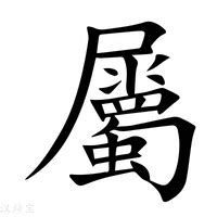 屬 意思|屬的意思，屬字的意思